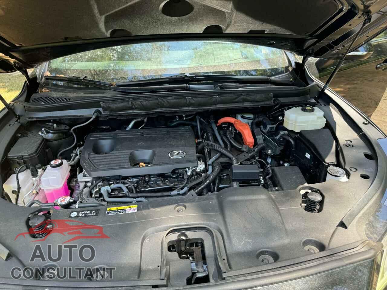 LEXUS RX 350H BA 2023 - 2T2BBMCA5PC010579