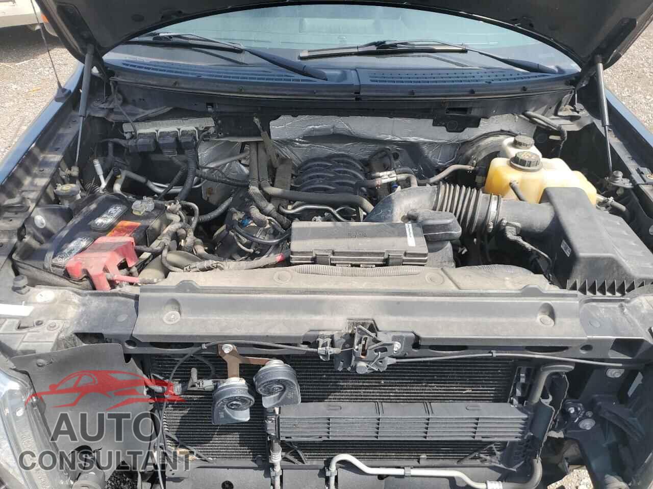 FORD F-150 2013 - 1FTFX1CF8DFD01467