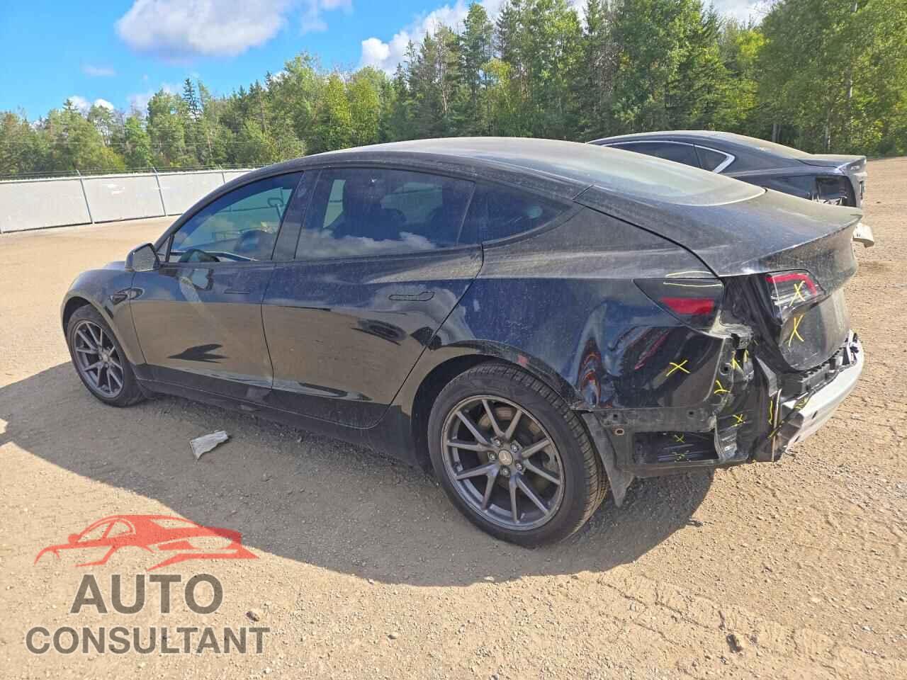 TESLA MODEL 3 2021 - 5YJ3E1EA1MF973031