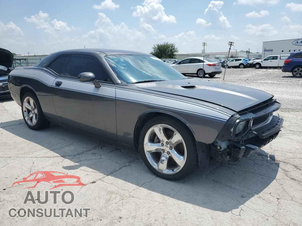 DODGE CHALLENGER 2013 - 2C3CDYAG9DH653184