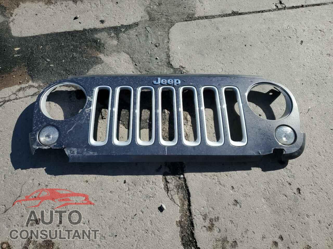 JEEP WRANGLER 2016 - 1C4GJWBG9GL262178