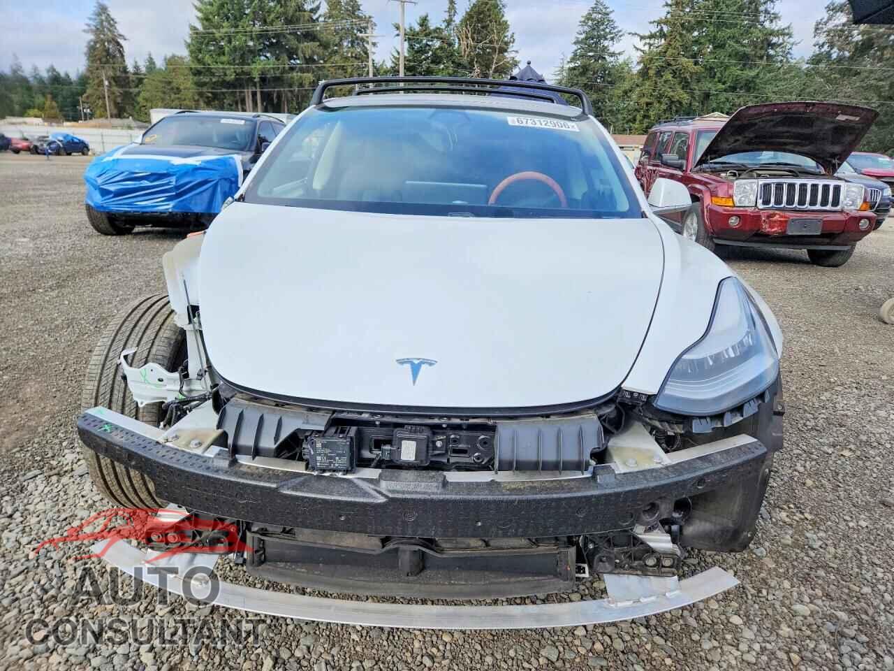 TESLA MODEL 3 2019 - 5YJ3E1EB2KF441325