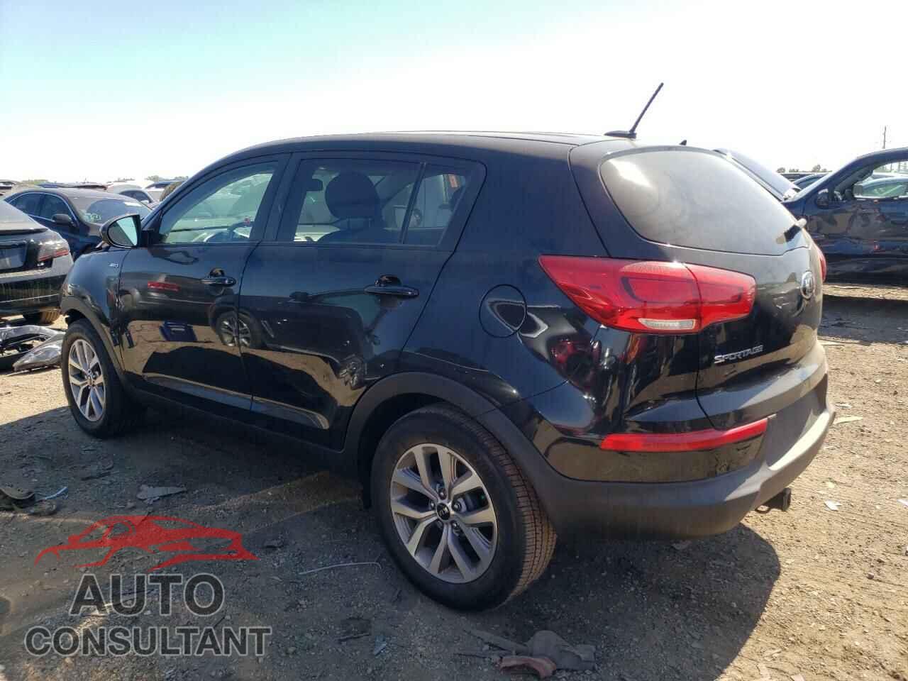 KIA SPORTAGE 2016 - KNDPBCAC9G7807122