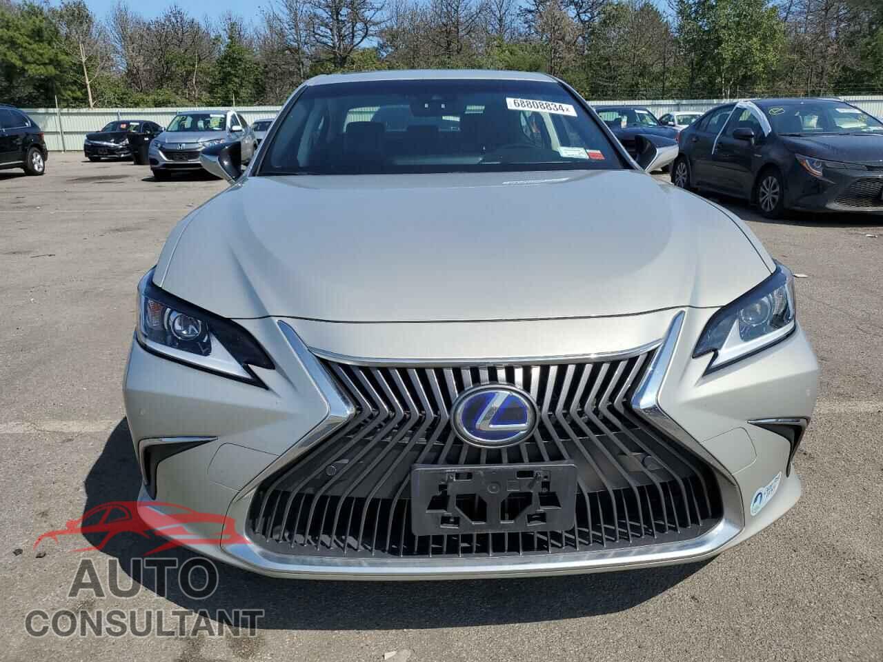 LEXUS ES300 2019 - JTHB21B17K2012151