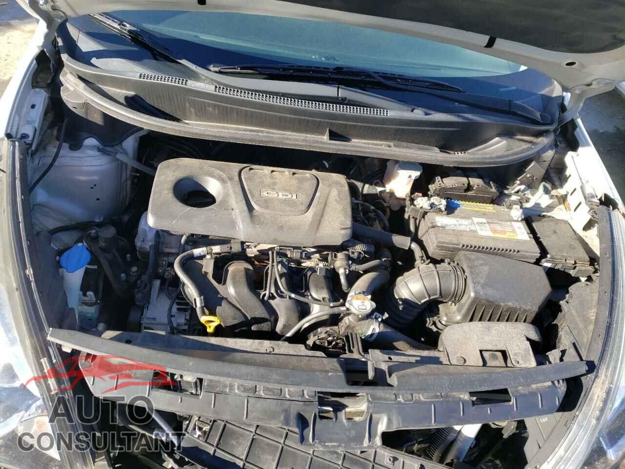 KIA RIO 2016 - KNADM4A33G6695679