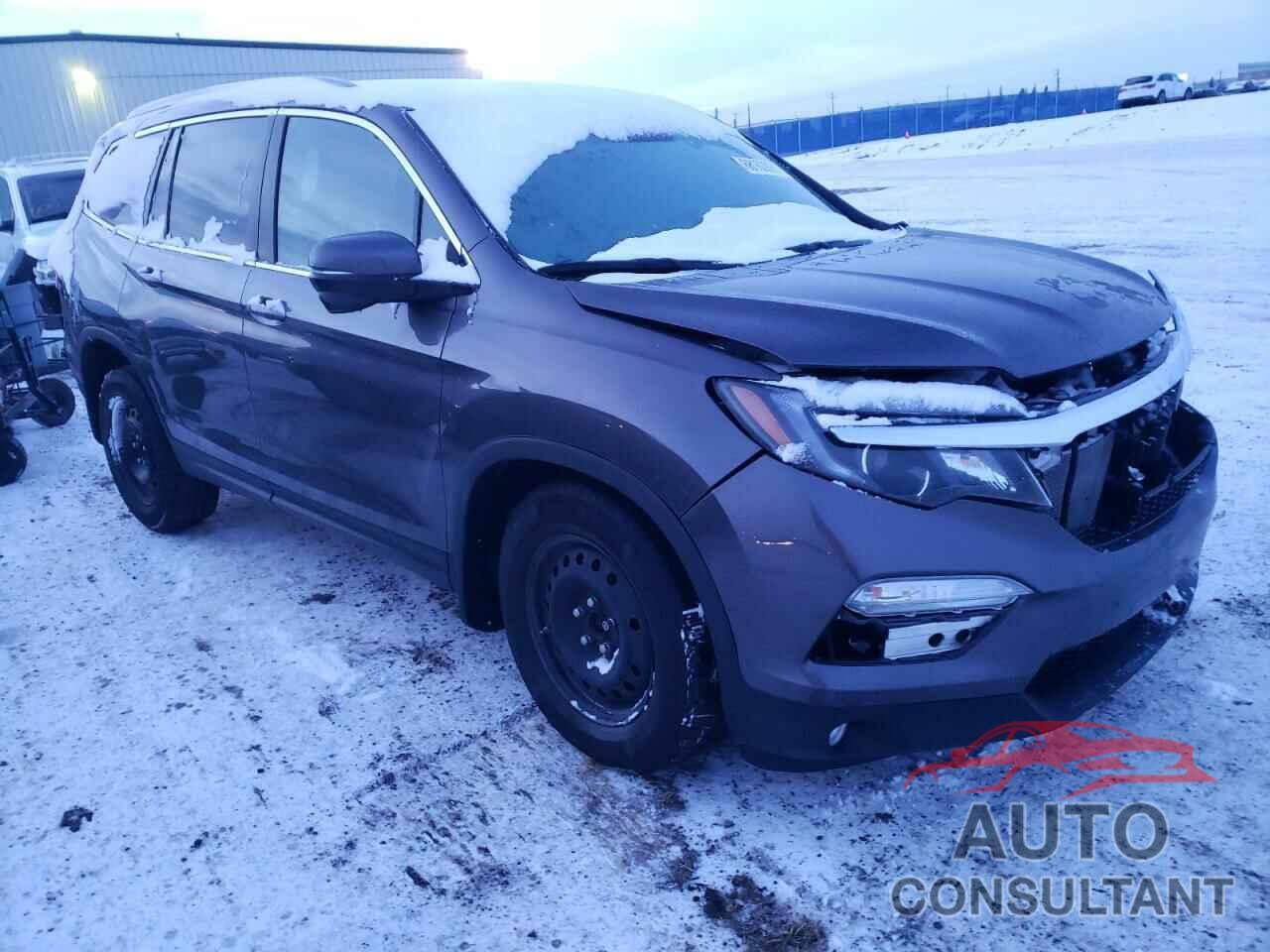HONDA PILOT 2017 - 5FNYF6H84HB504210