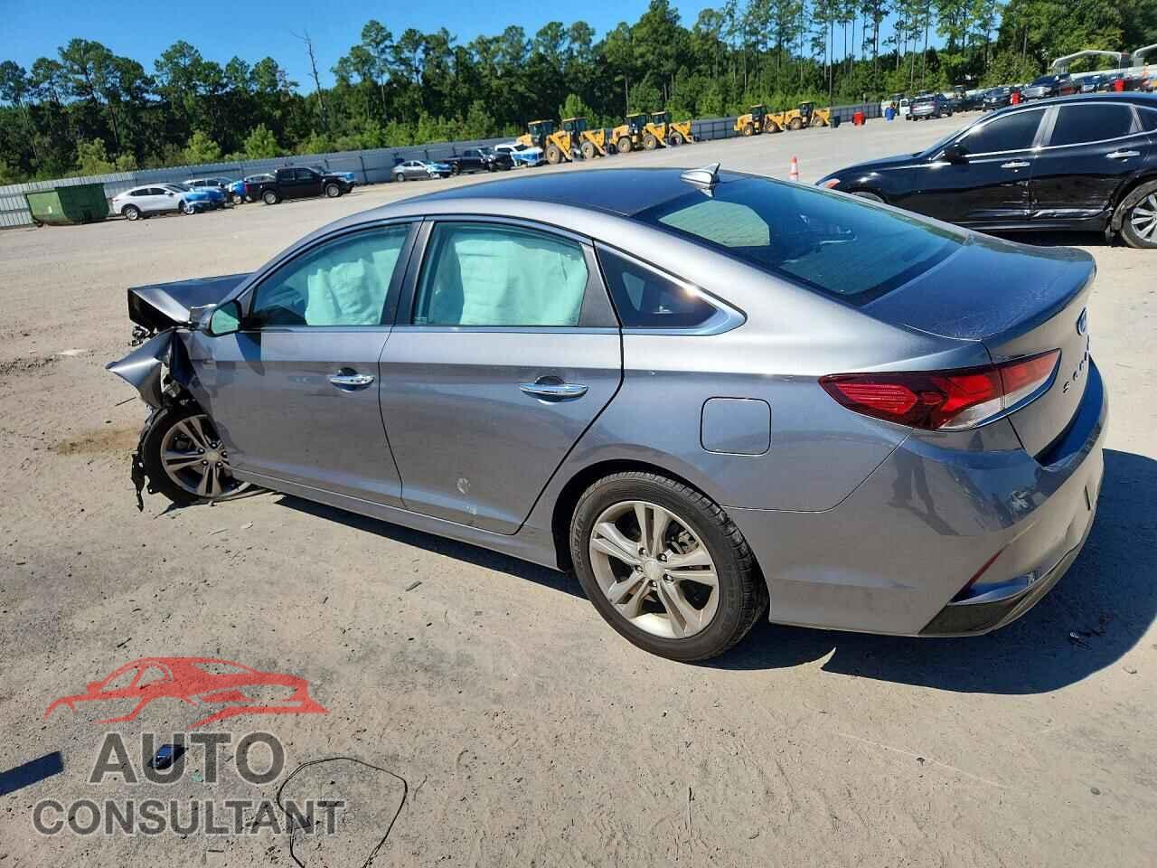 HYUNDAI SONATA 2019 - 5NPE34AF1KH759656