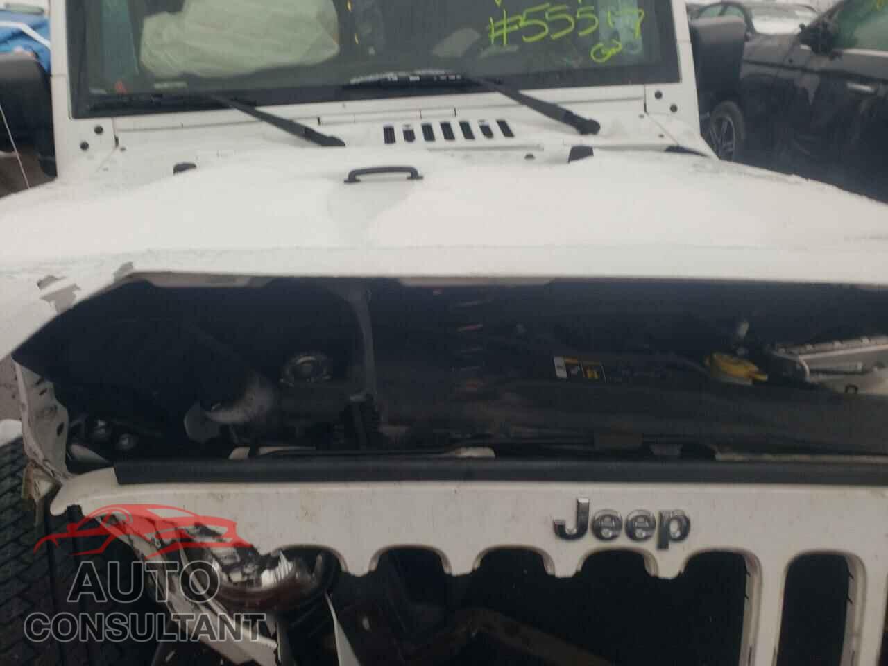 JEEP WRANGLER 2017 - 1C4BJWEG3HL647954