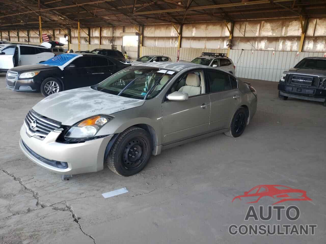 NISSAN ALTIMA 2009 - 1N4AL21E79N417767