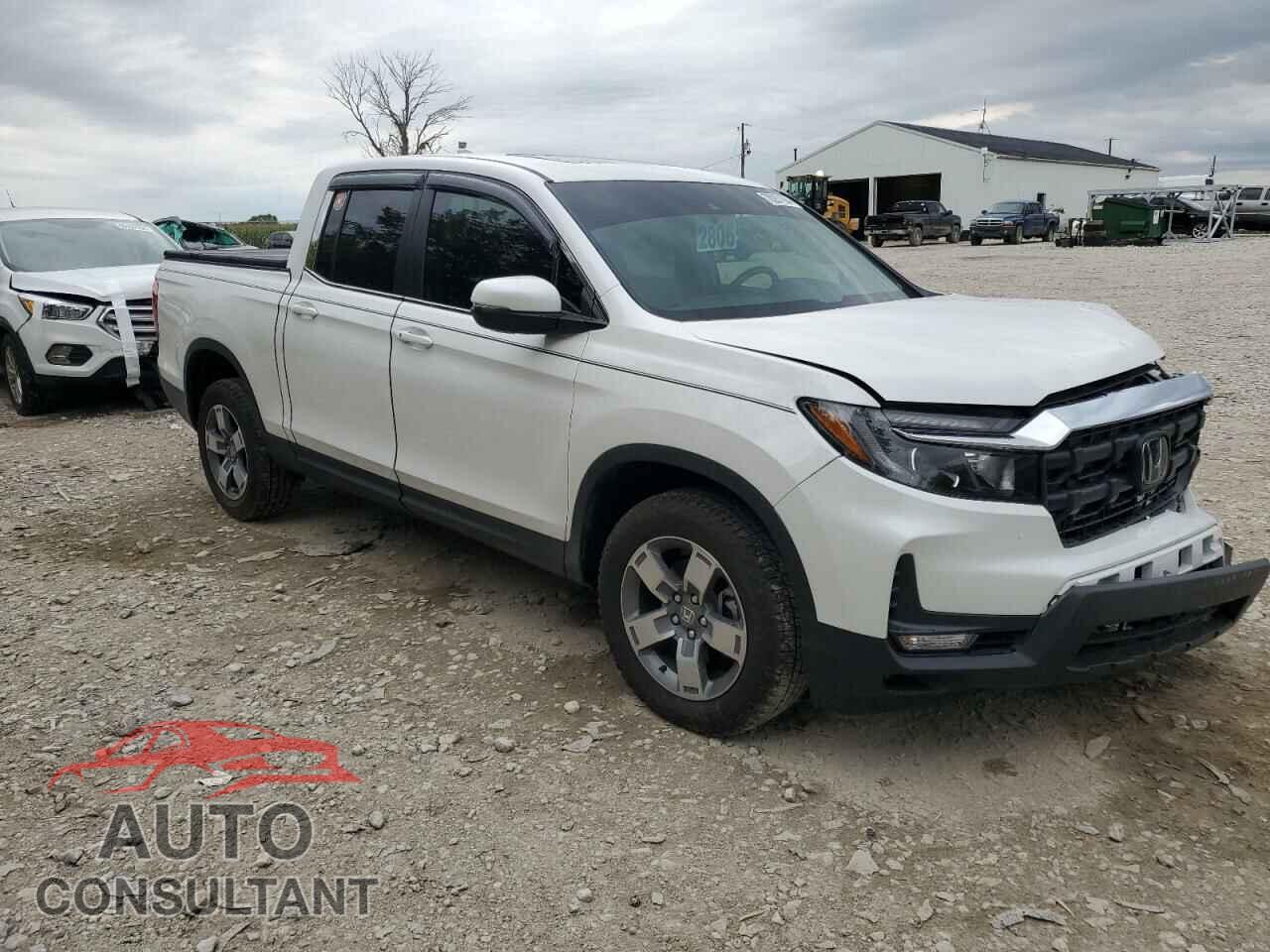 HONDA RIDGELINE 2024 - 5FPYK3F55RB017416