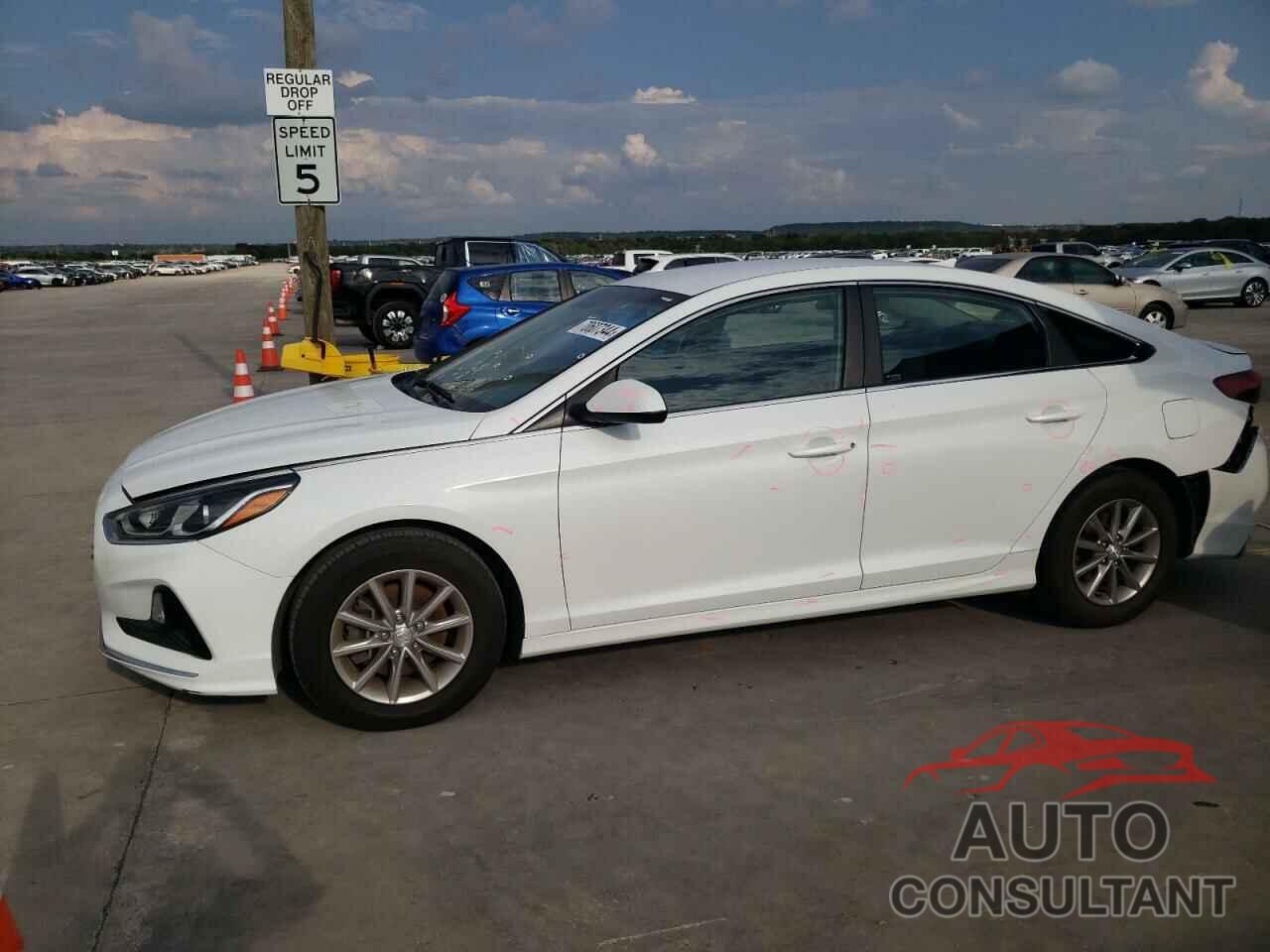 HYUNDAI SONATA 2019 - 5NPE24AF8KH768955