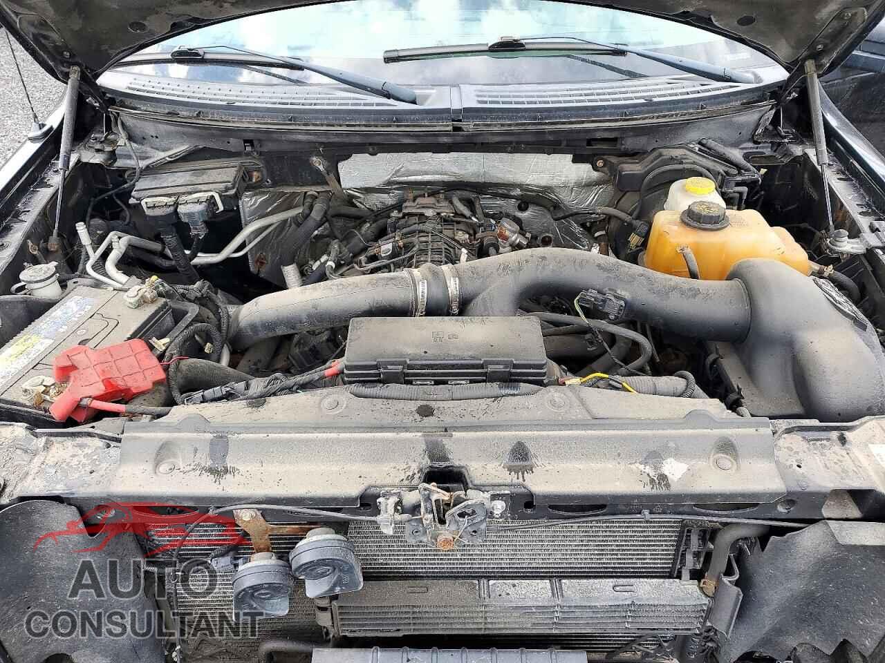 FORD F150 2013 - 1FTFW1ET1DFD57997