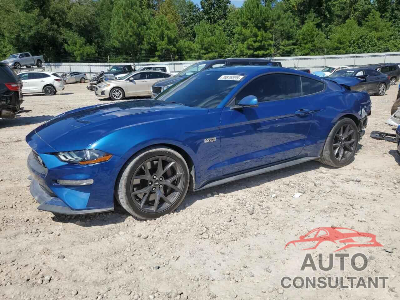 FORD ALL Models 2022 - 1FA6P8TD9N5131088