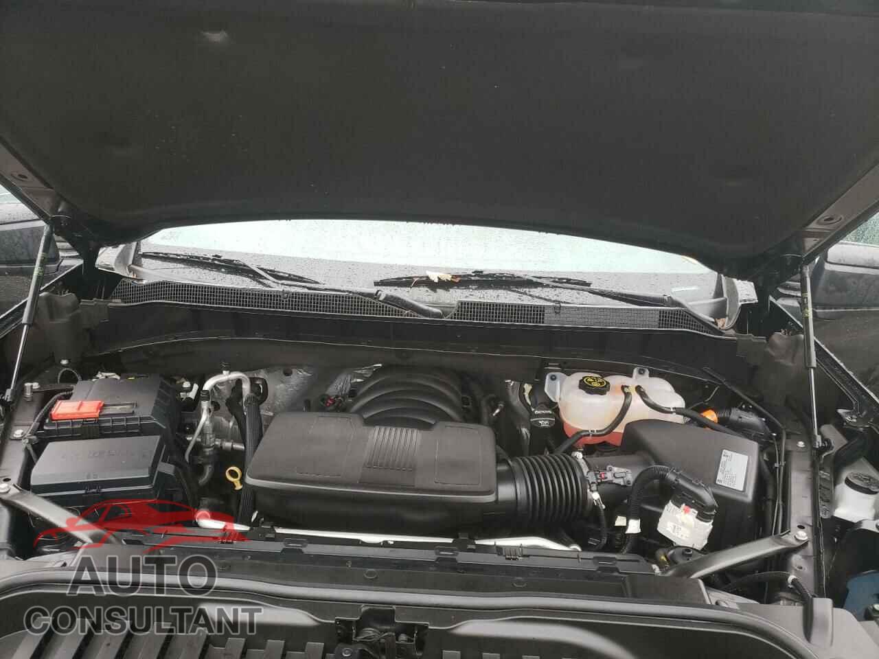 CHEVROLET SILVERADO 2021 - 3GCPYFEL0MG288021