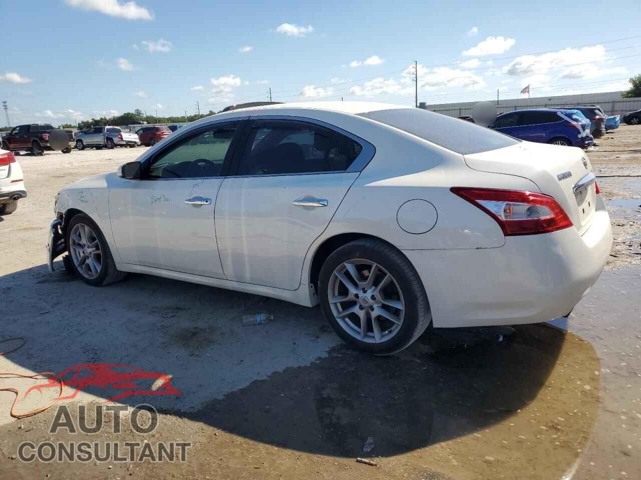 NISSAN MAXIMA 2011 - 1N4AA5AP0BC823402