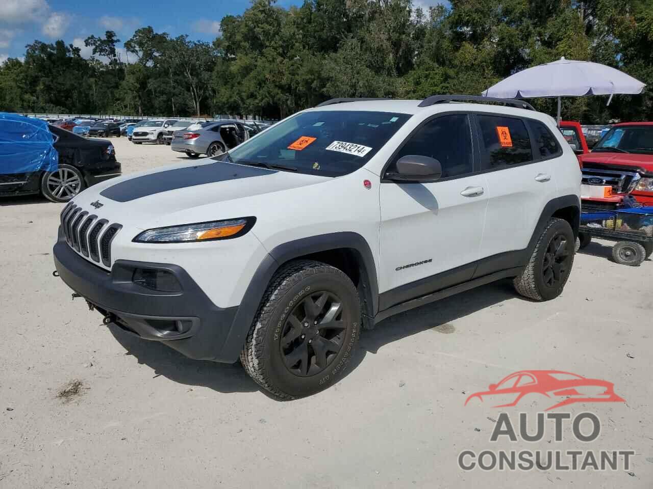 JEEP CHEROKEE 2016 - 1C4PJMBS9GW215594