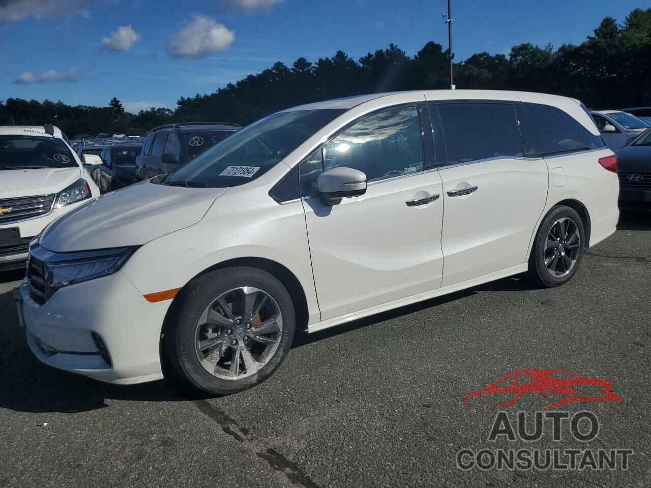 HONDA ODYSSEY 2023 - 5FNRL6H96PB015568