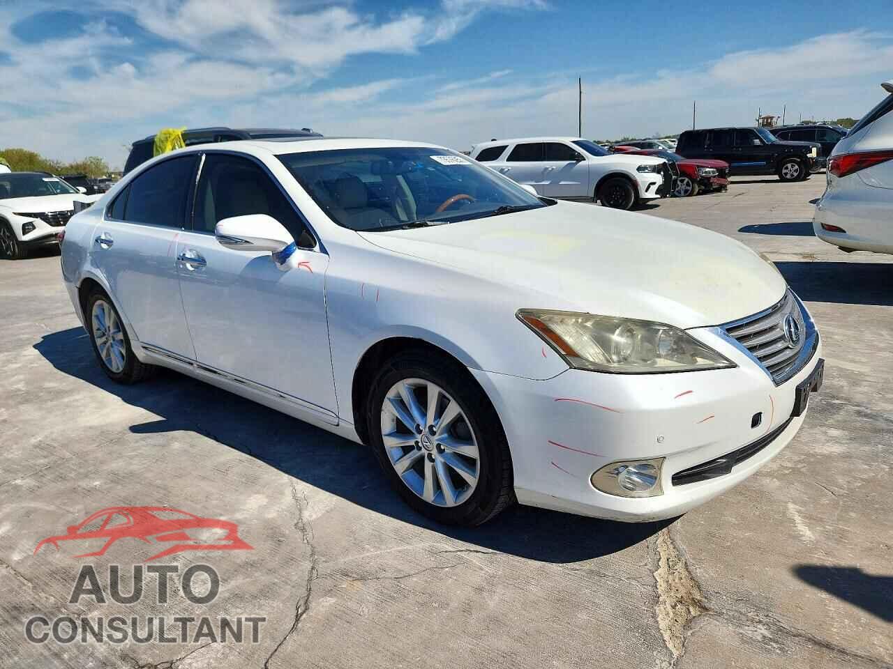 LEXUS ES350 2010 - JTHBK1EGXA2375512