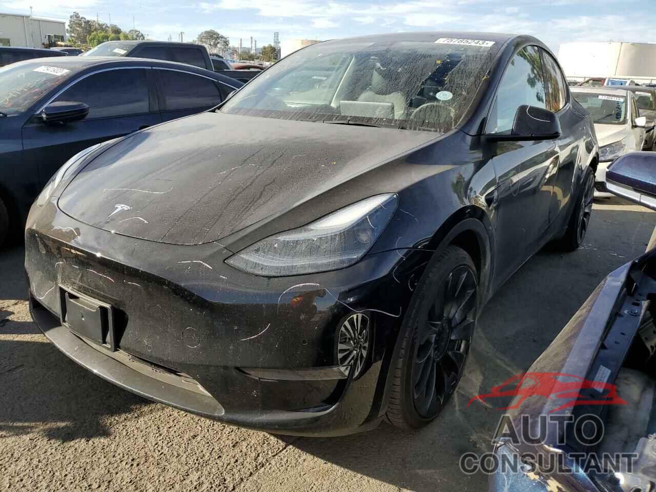 TESLA MODEL Y 2022 - 7SAYGDEF7NF554697