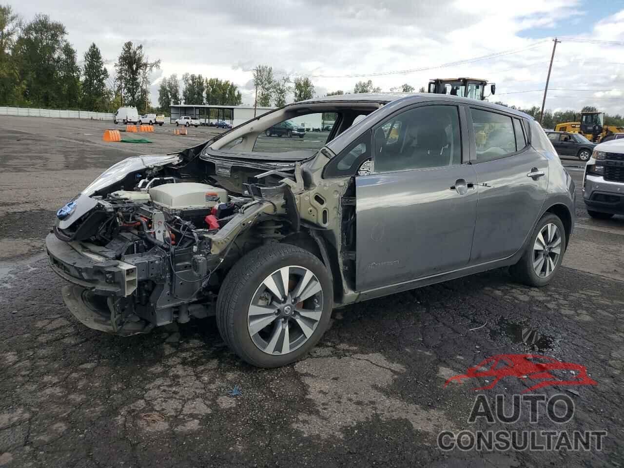 NISSAN LEAF 2017 - 1N4BZ0CP2HC308181
