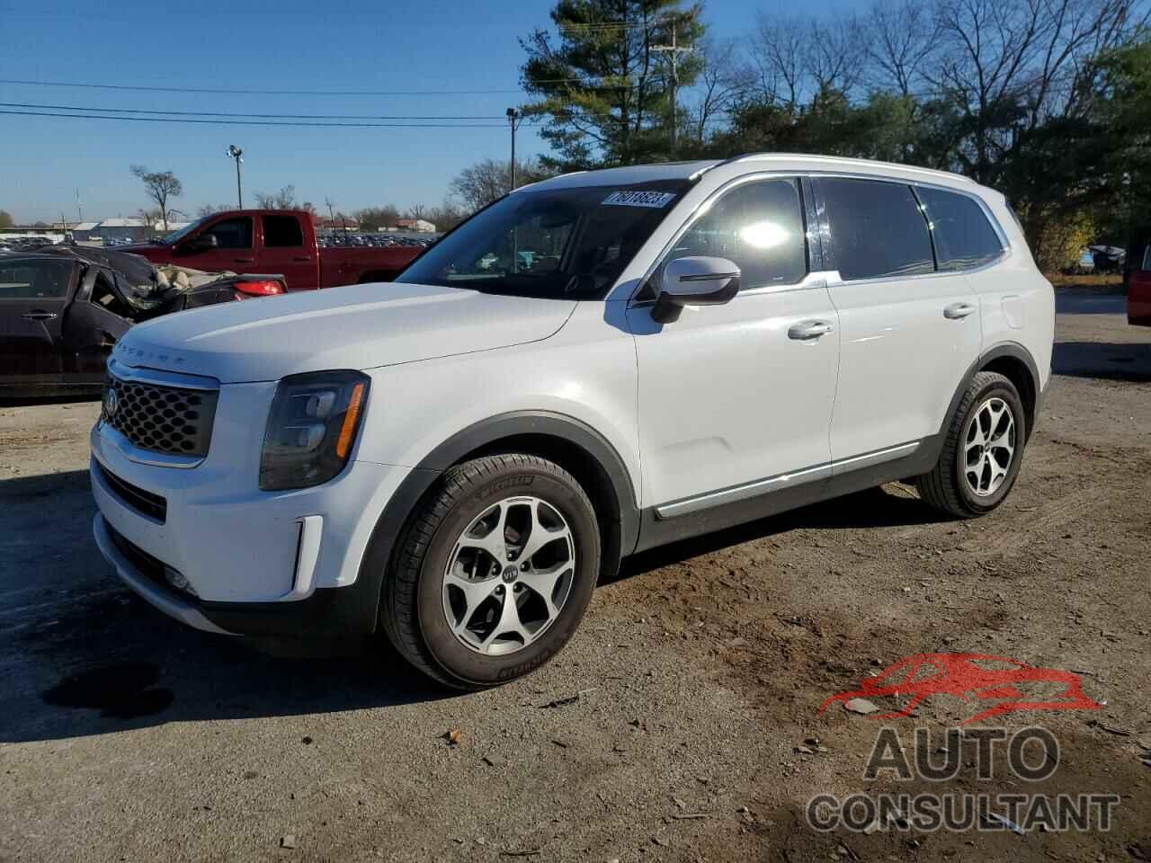 KIA TELLURIDE 2021 - 5XYP3DHC4MG137938