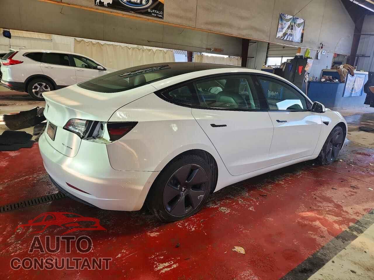 TESLA MODEL 3 2022 - 5YJ3E1EB5NF238935