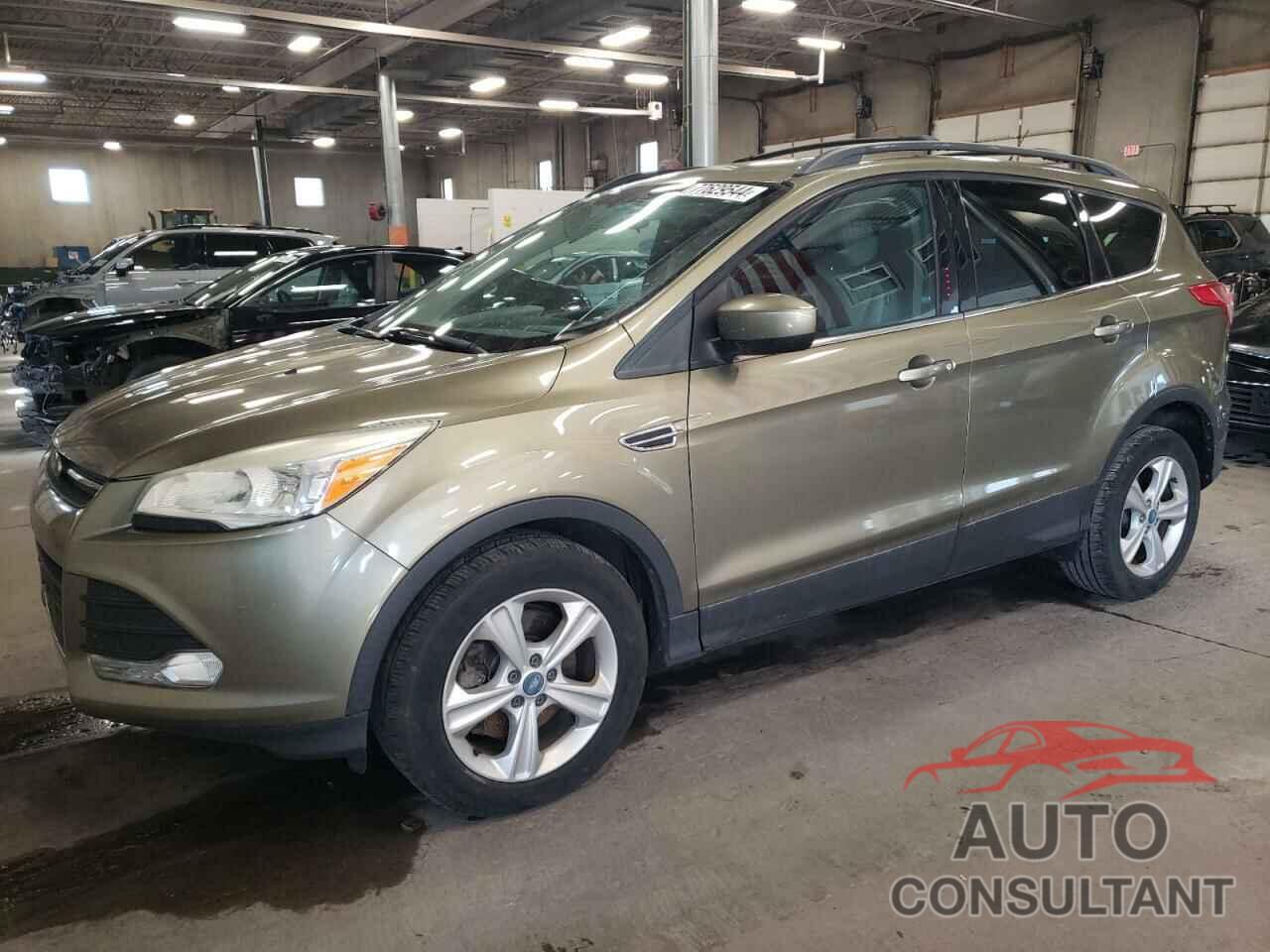 FORD ESCAPE 2013 - 1FMCU0G90DUD93661