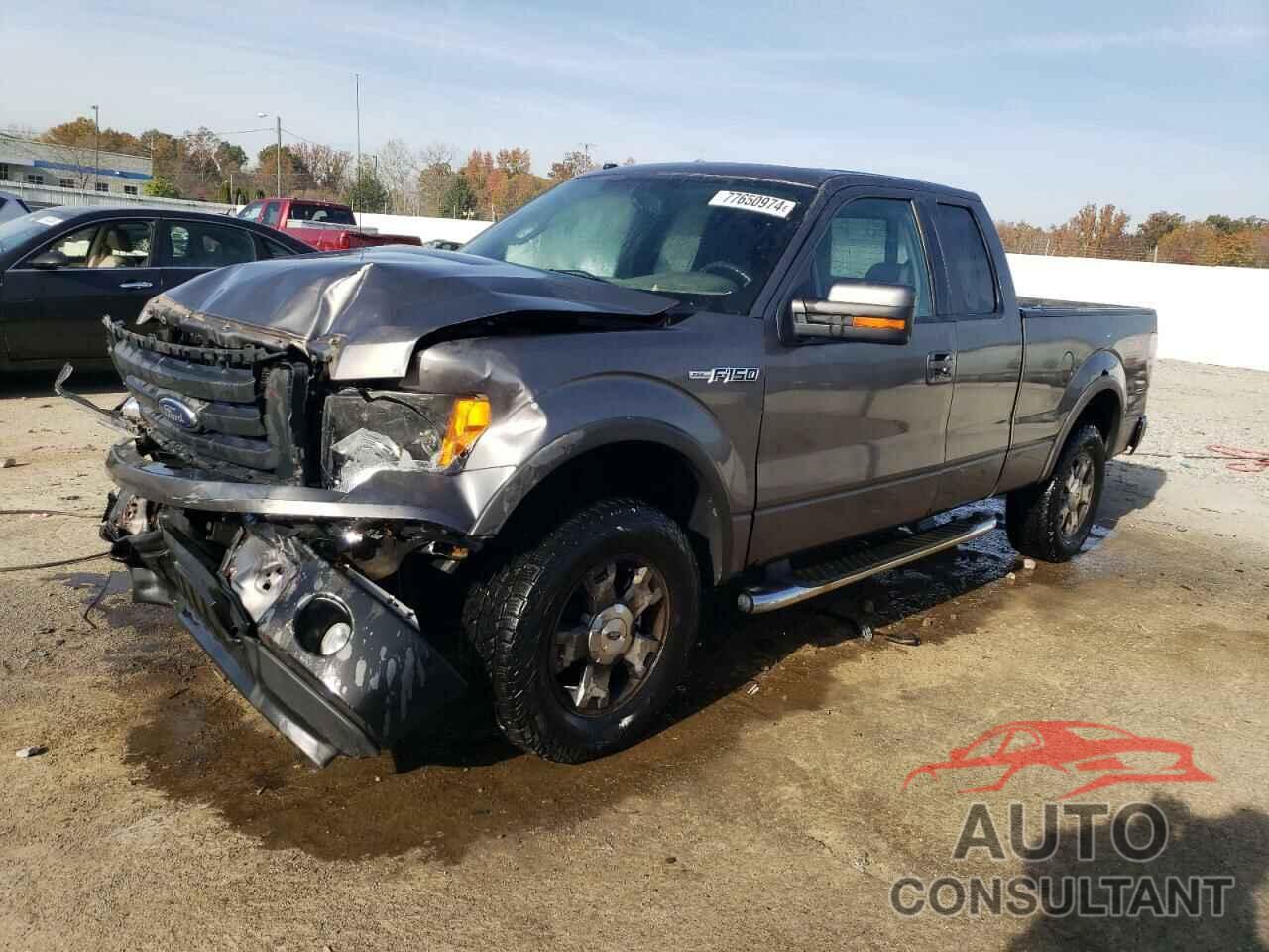 FORD F-150 2010 - 1FTFX1EV6AFB09528