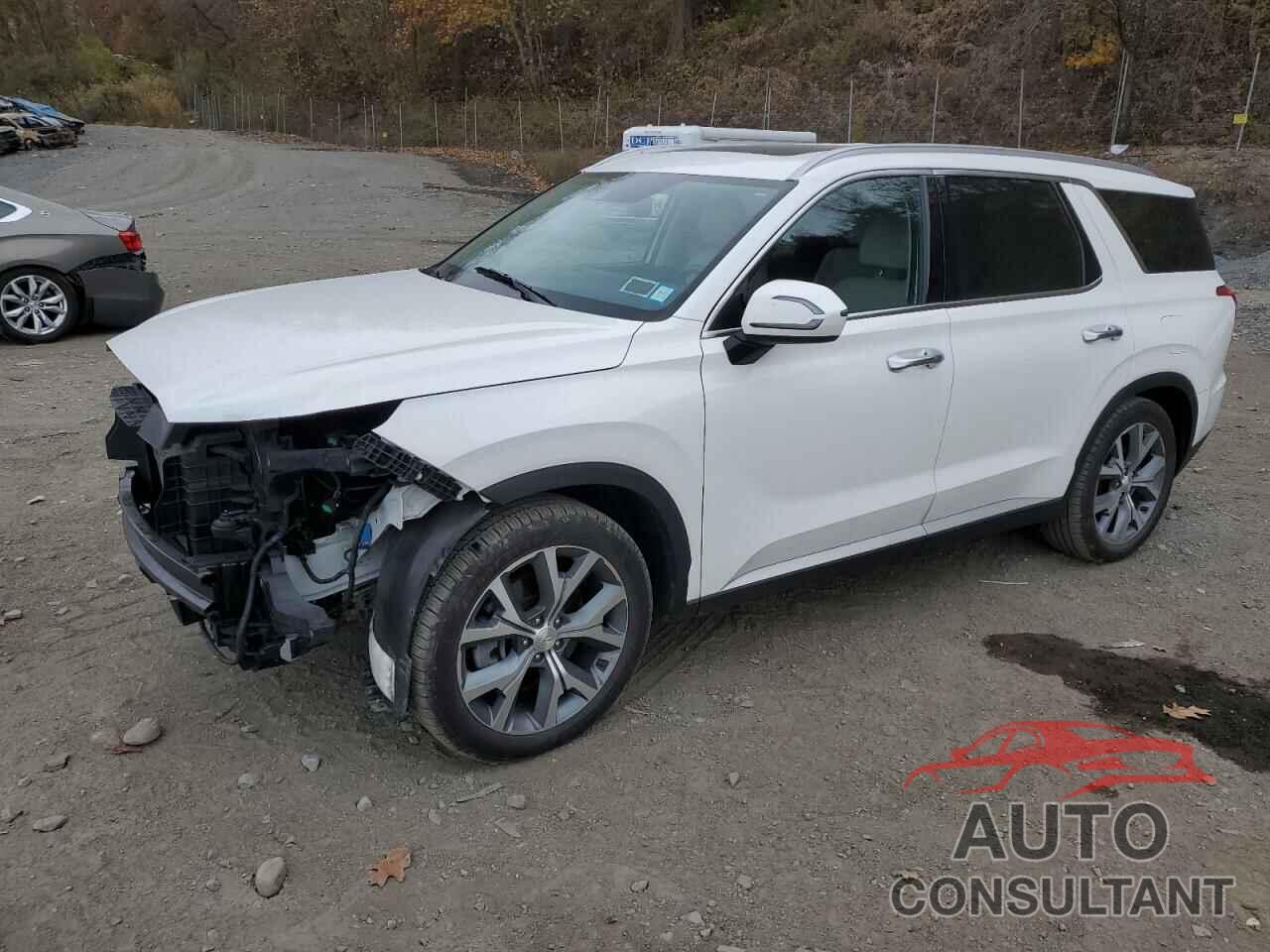 HYUNDAI PALISADE 2020 - KM8R4DHE5LU169927