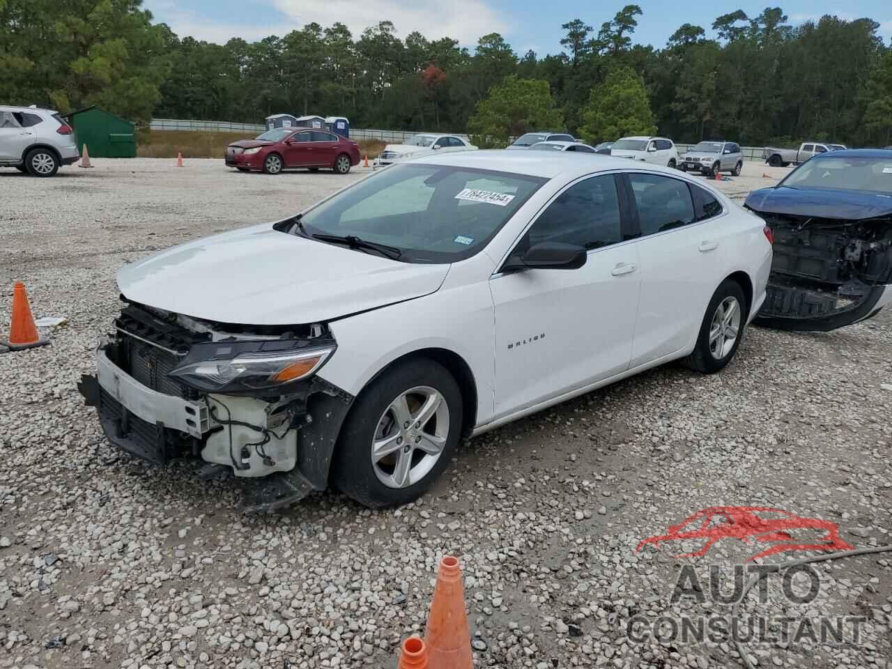 CHEVROLET MALIBU 2019 - 1G1ZB5ST1KF228460