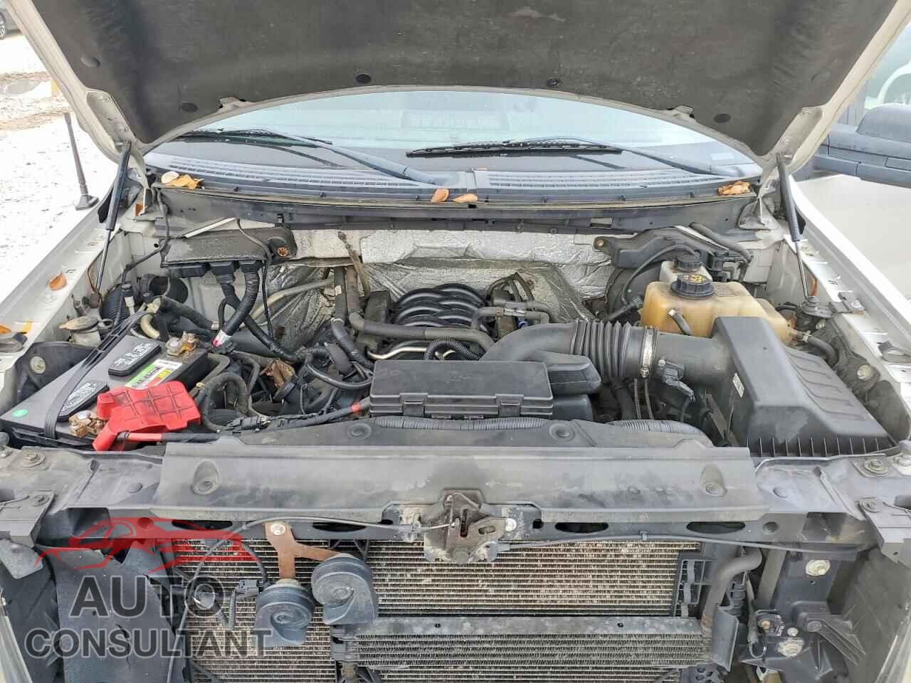 FORD F-150 2012 - 1FTFX1EF5CFB48431