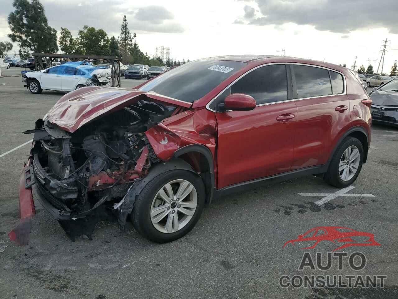 KIA SPORTAGE 2017 - KNDPM3AC6H7099956