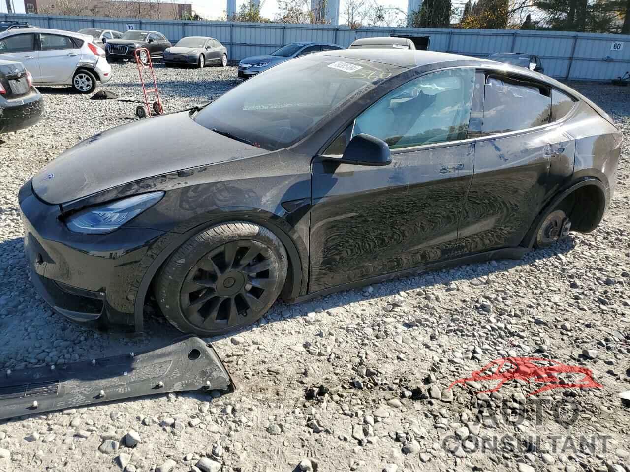TESLA MODEL Y 2021 - 5YJYGDEE0MF192988
