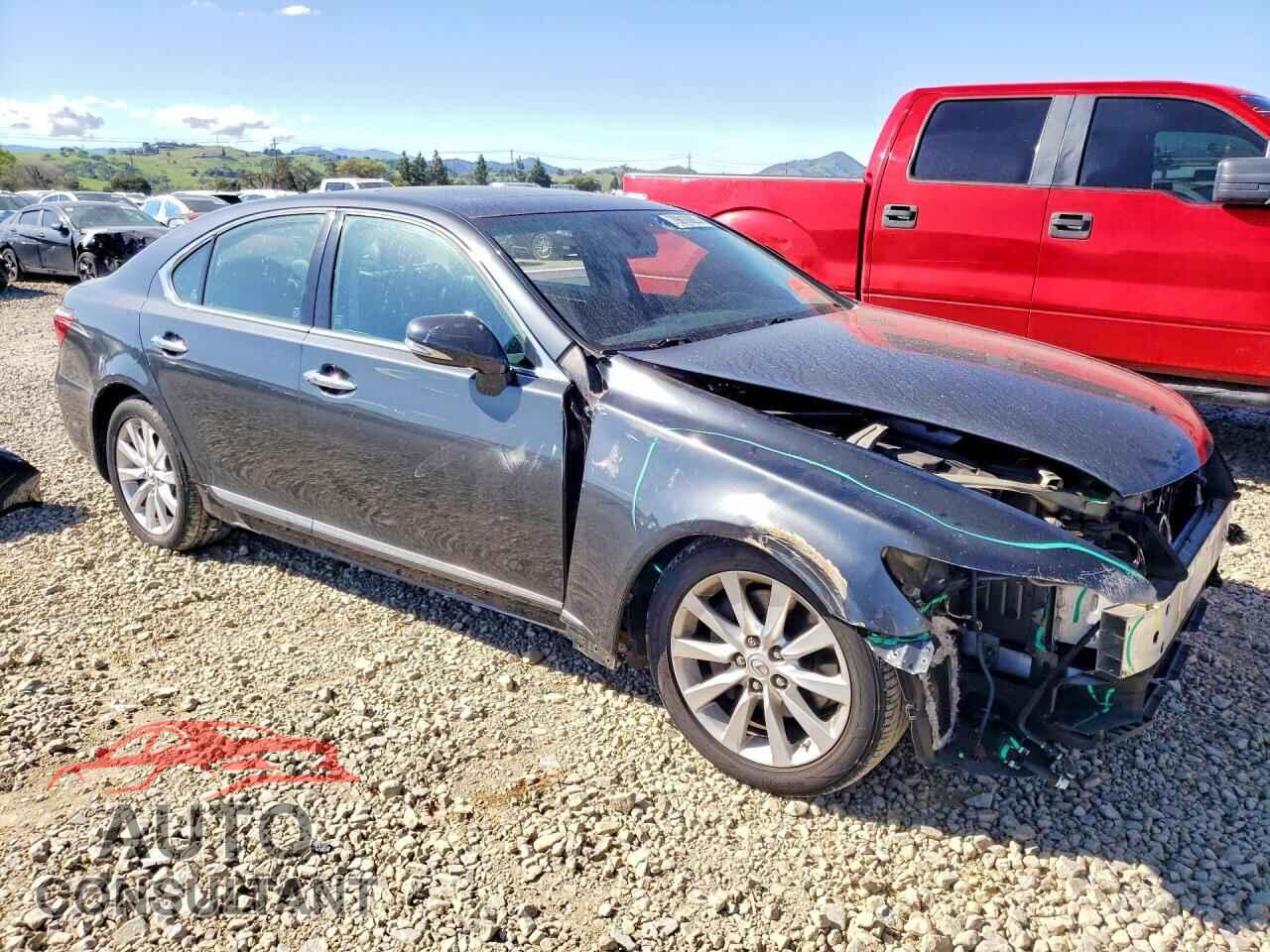 LEXUS LS 460 2010 - JTHBL5EF3A5100655