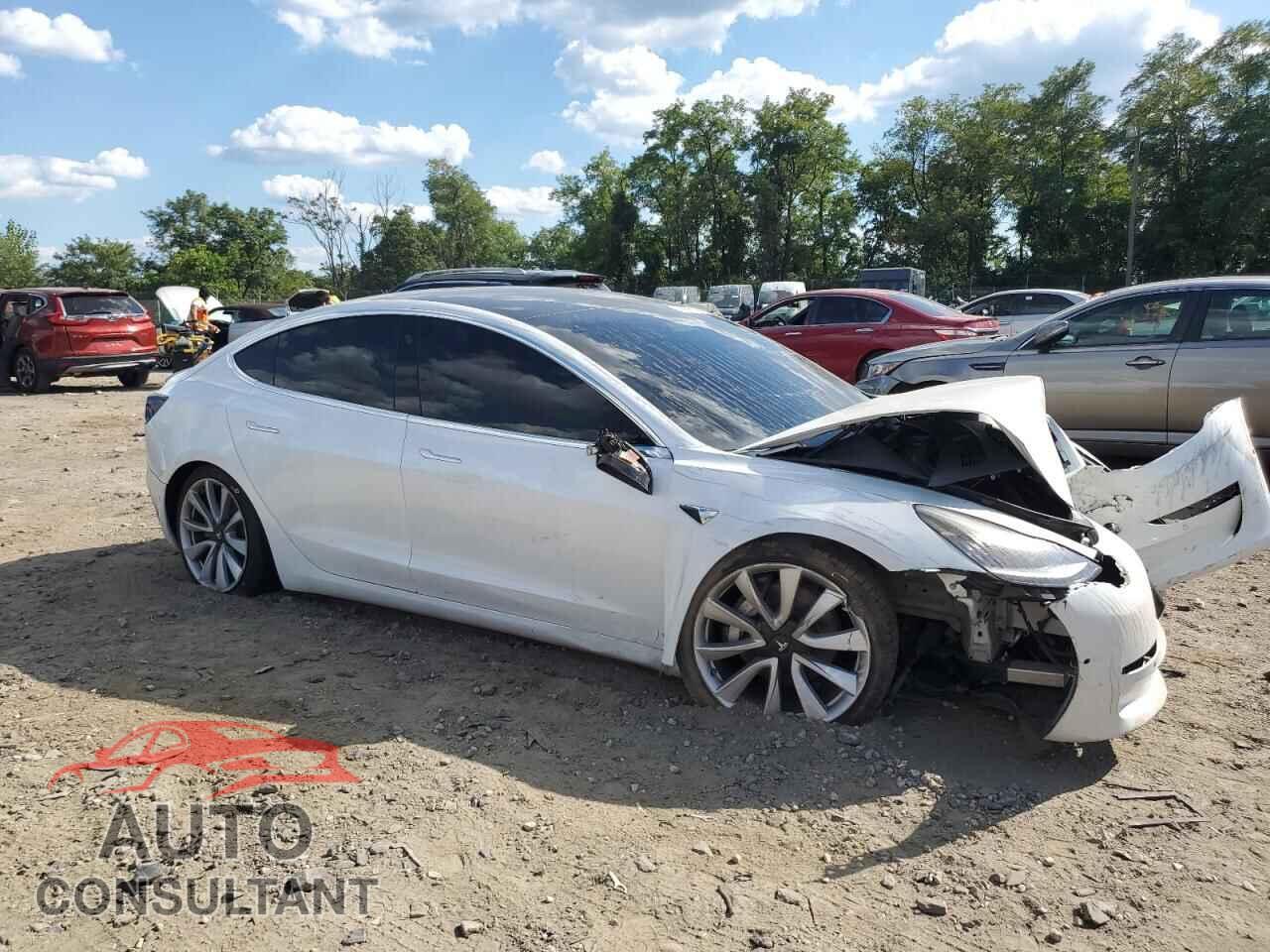 TESLA MODEL 3 2019 - 5YJ3E1EB8KF437702