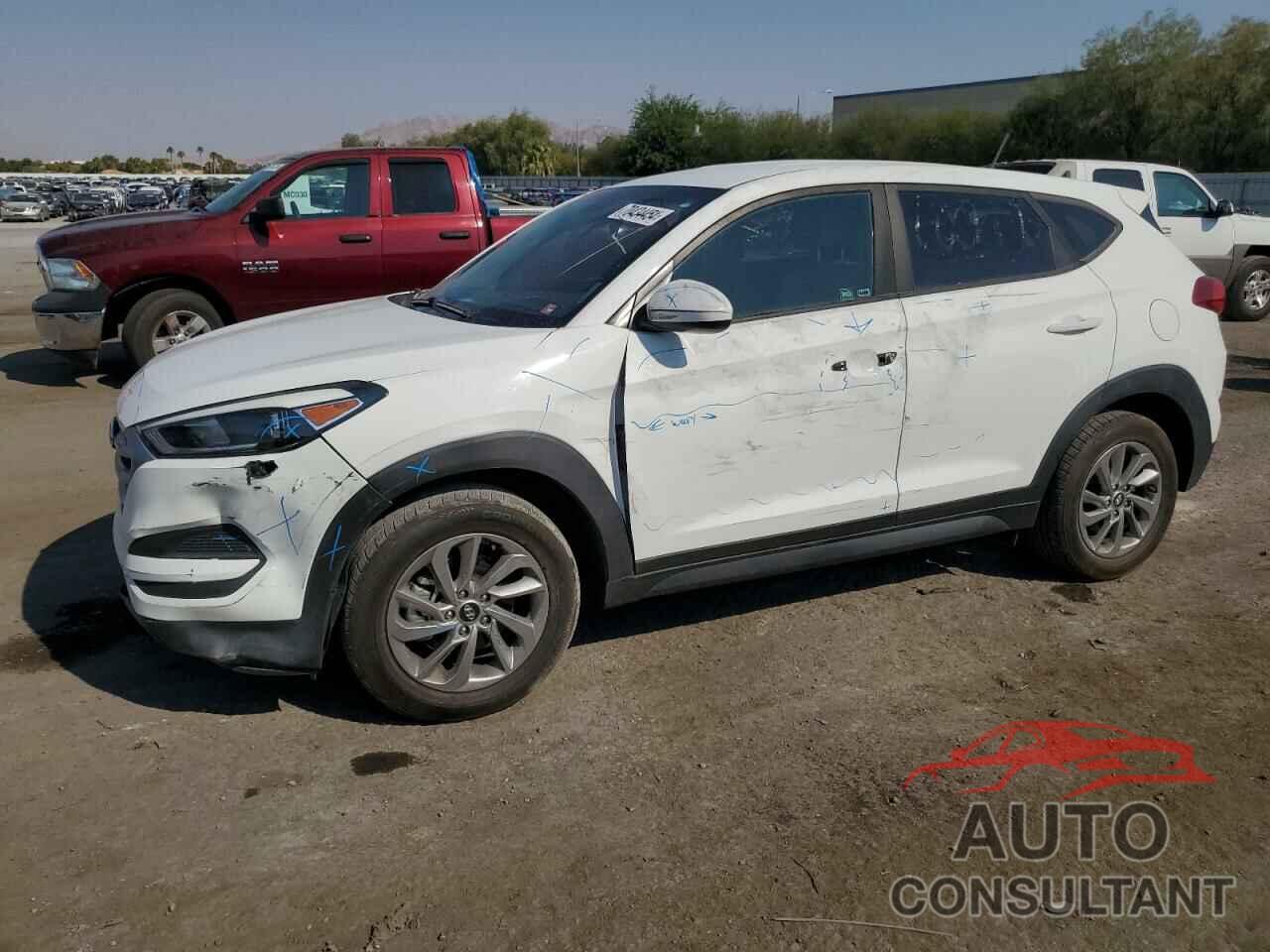 HYUNDAI TUCSON 2017 - KM8J23A42HU484805