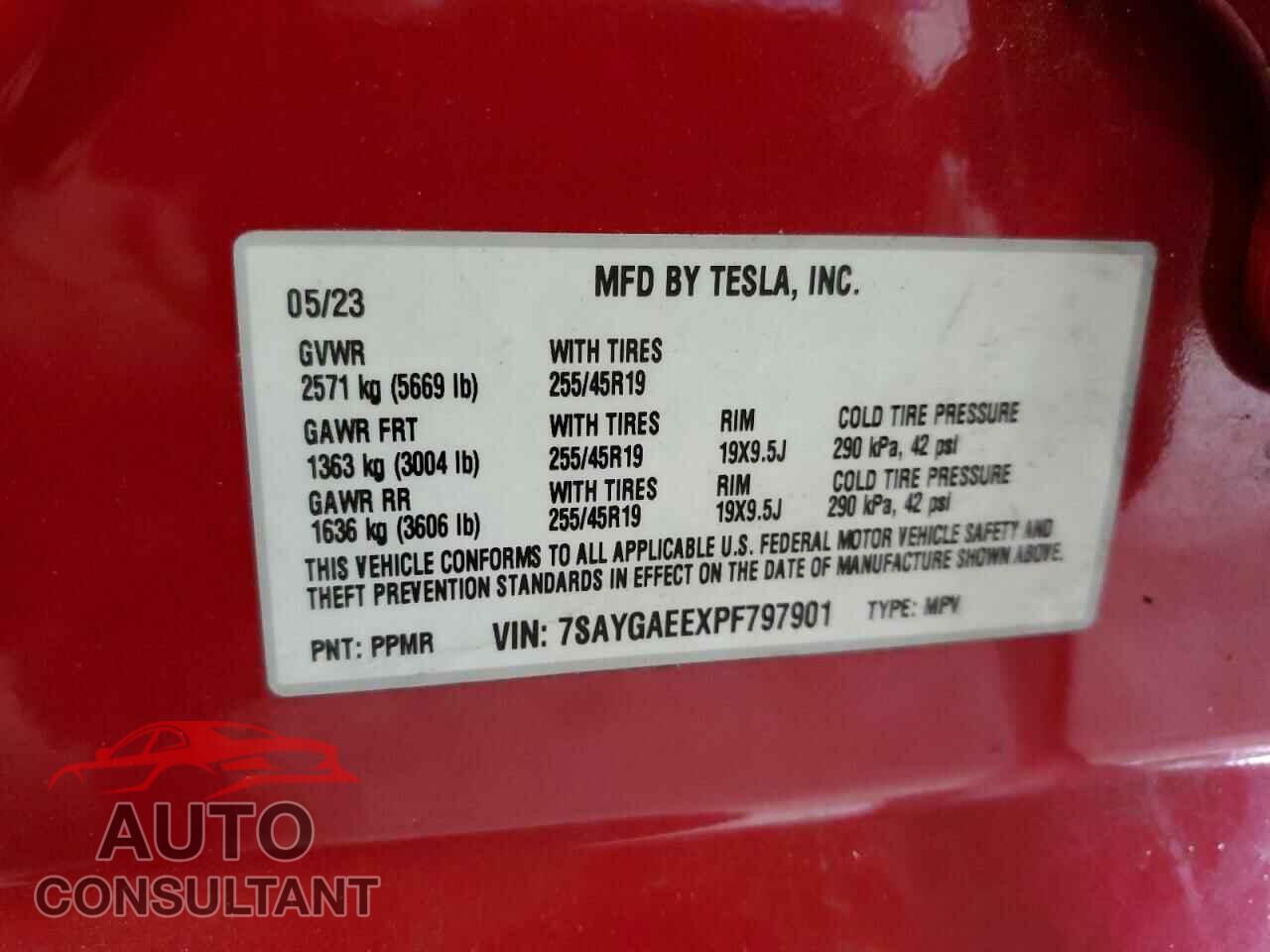 TESLA MODEL Y 2023 - 7SAYGAEEXPF797901