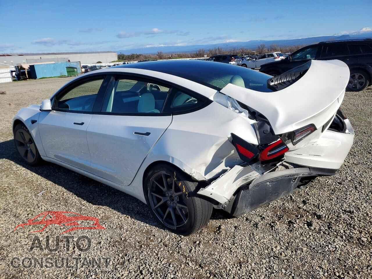 TESLA MODEL 3 2021 - 5YJ3E1EA3MF928852