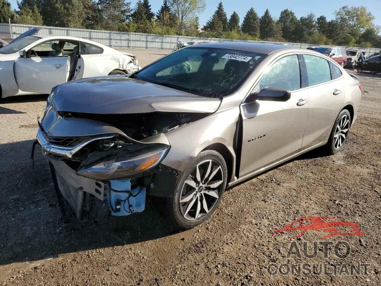 CHEVROLET MALIBU 2022 - 1G1ZG5ST4NF202828