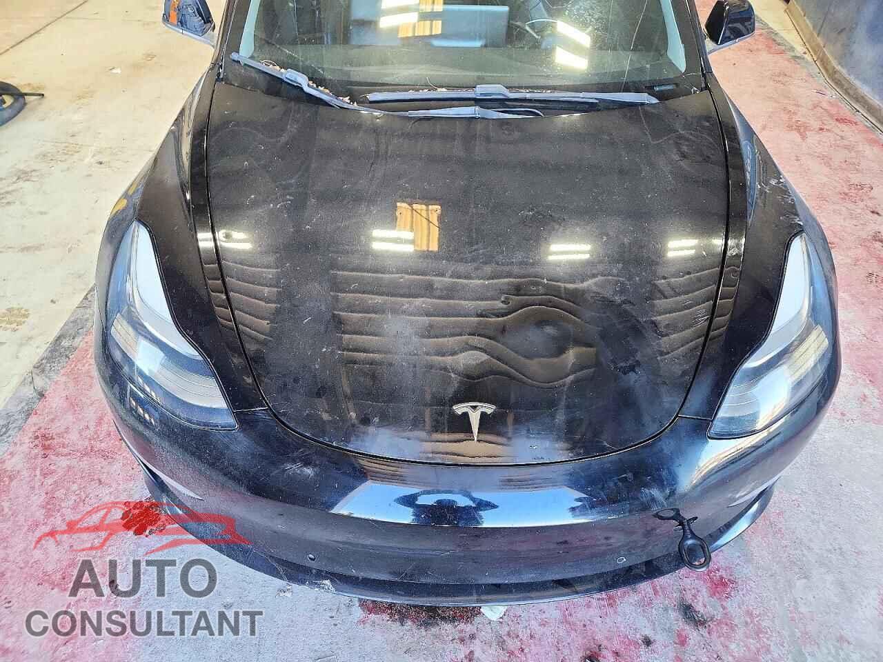 TESLA MODEL 3 2019 - 5YJ3E1EA1KF300642