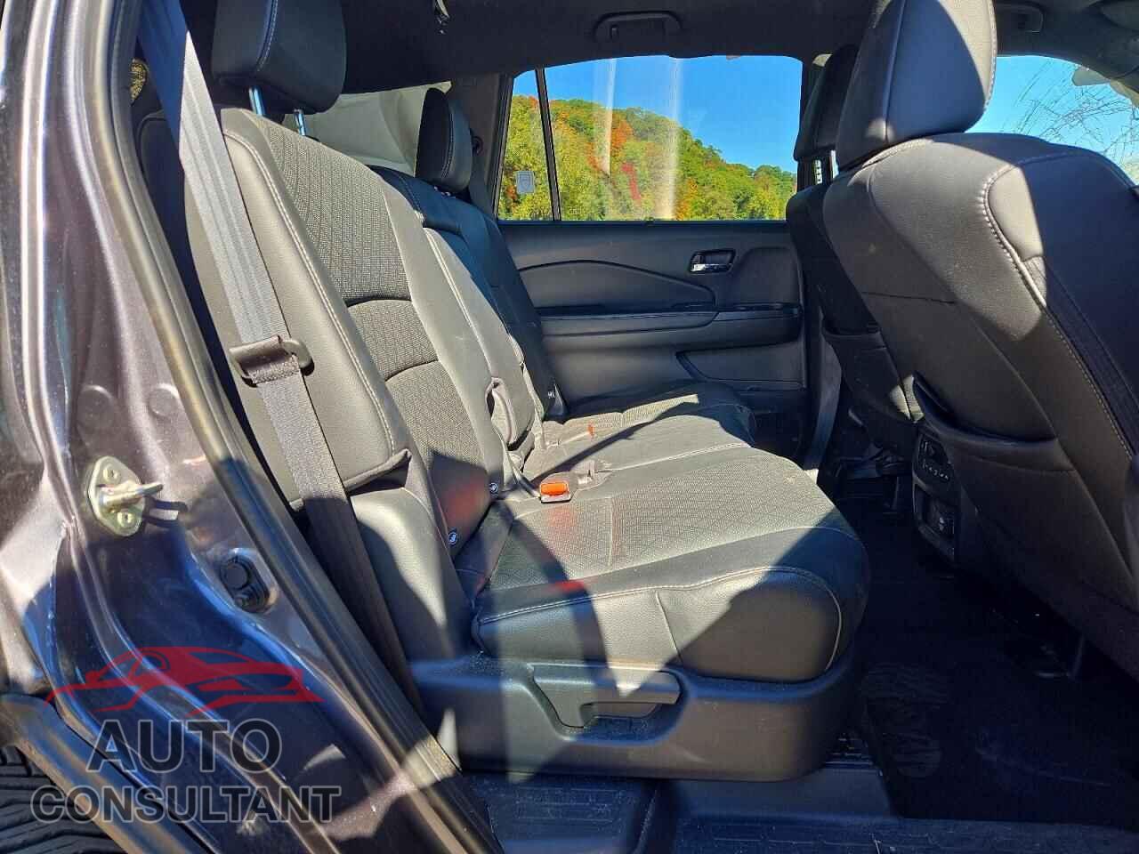 HONDA PASSPORT 2019 - 5FNYF8H0XKB002296