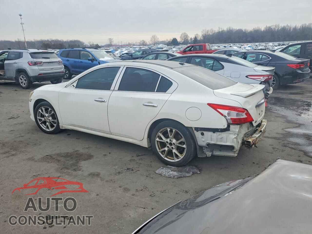 NISSAN MAXIMA 2011 - 1N4AA5AP7BC821601