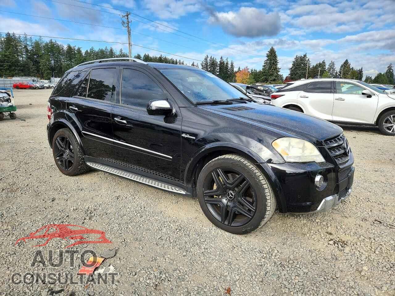 MERCEDES-BENZ M-CLASS 2009 - 4JGBB77E29A481028