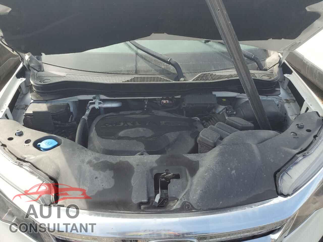 HONDA PILOT 2019 - 5FNYF6H45KB042843