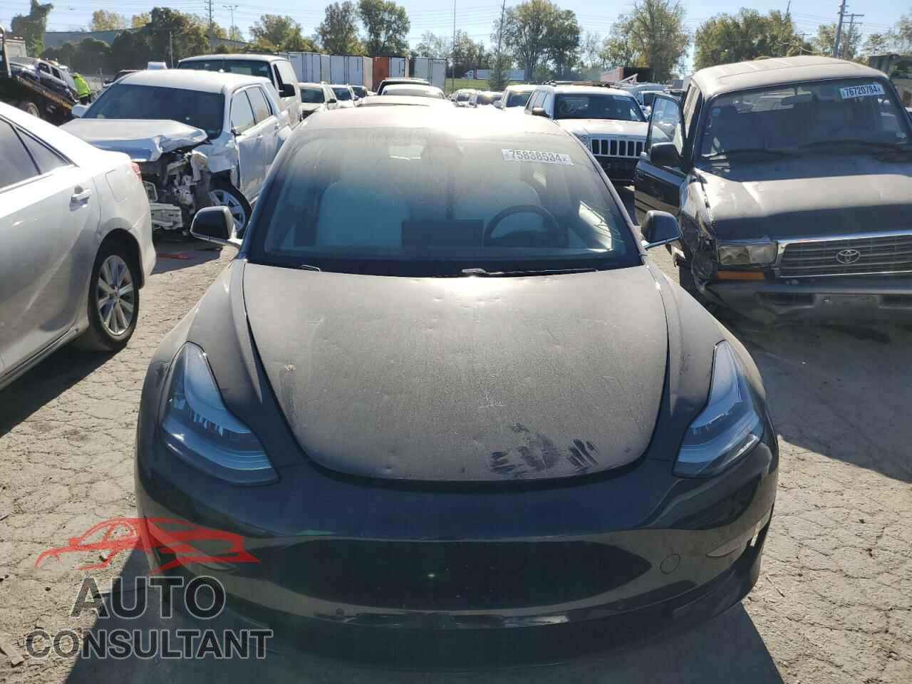 TESLA MODEL 3 2018 - 5YJ3E1EB8JF079841