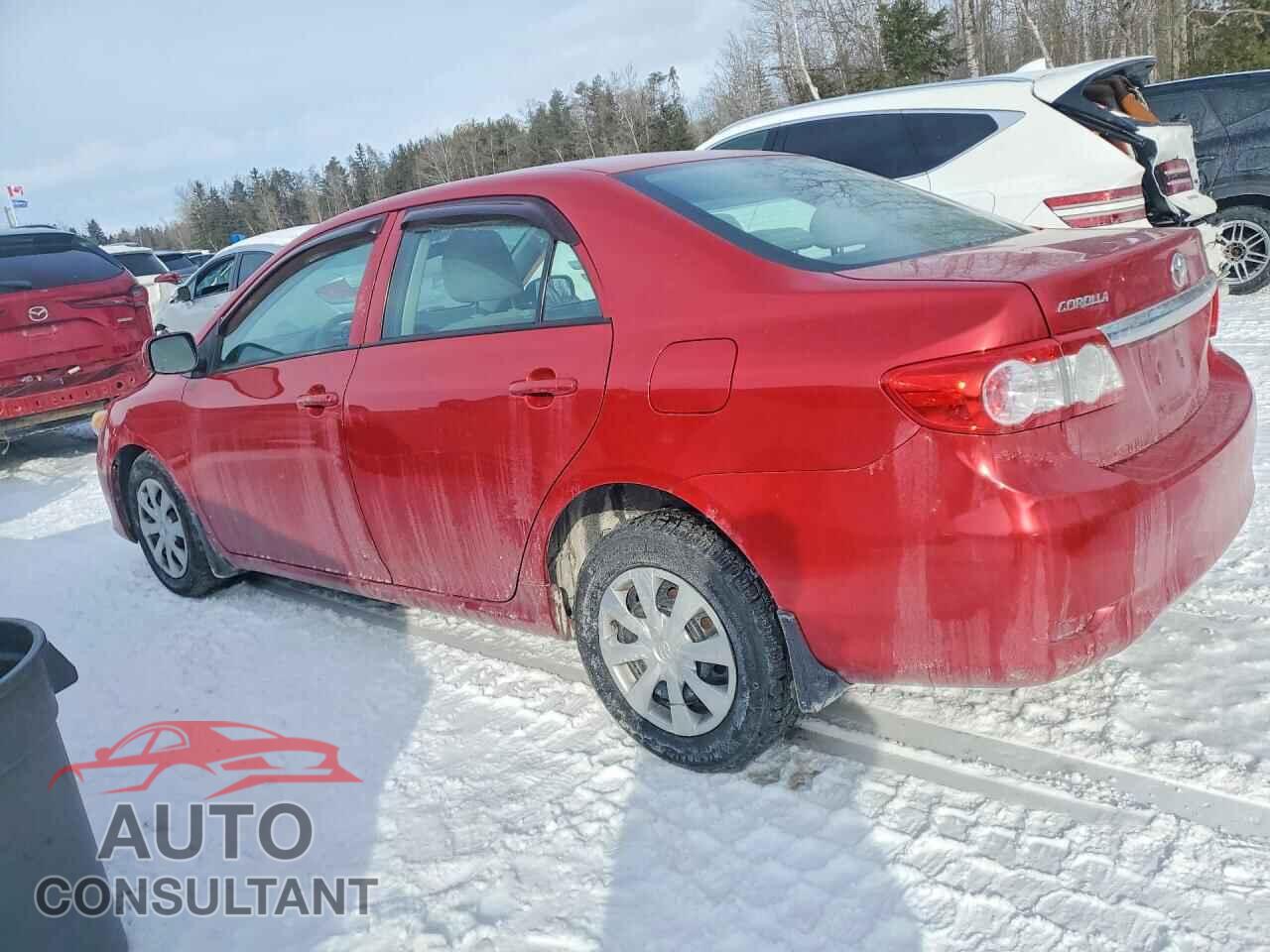 TOYOTA COROLLA 2011 - 2T1BU4EE2BC586332
