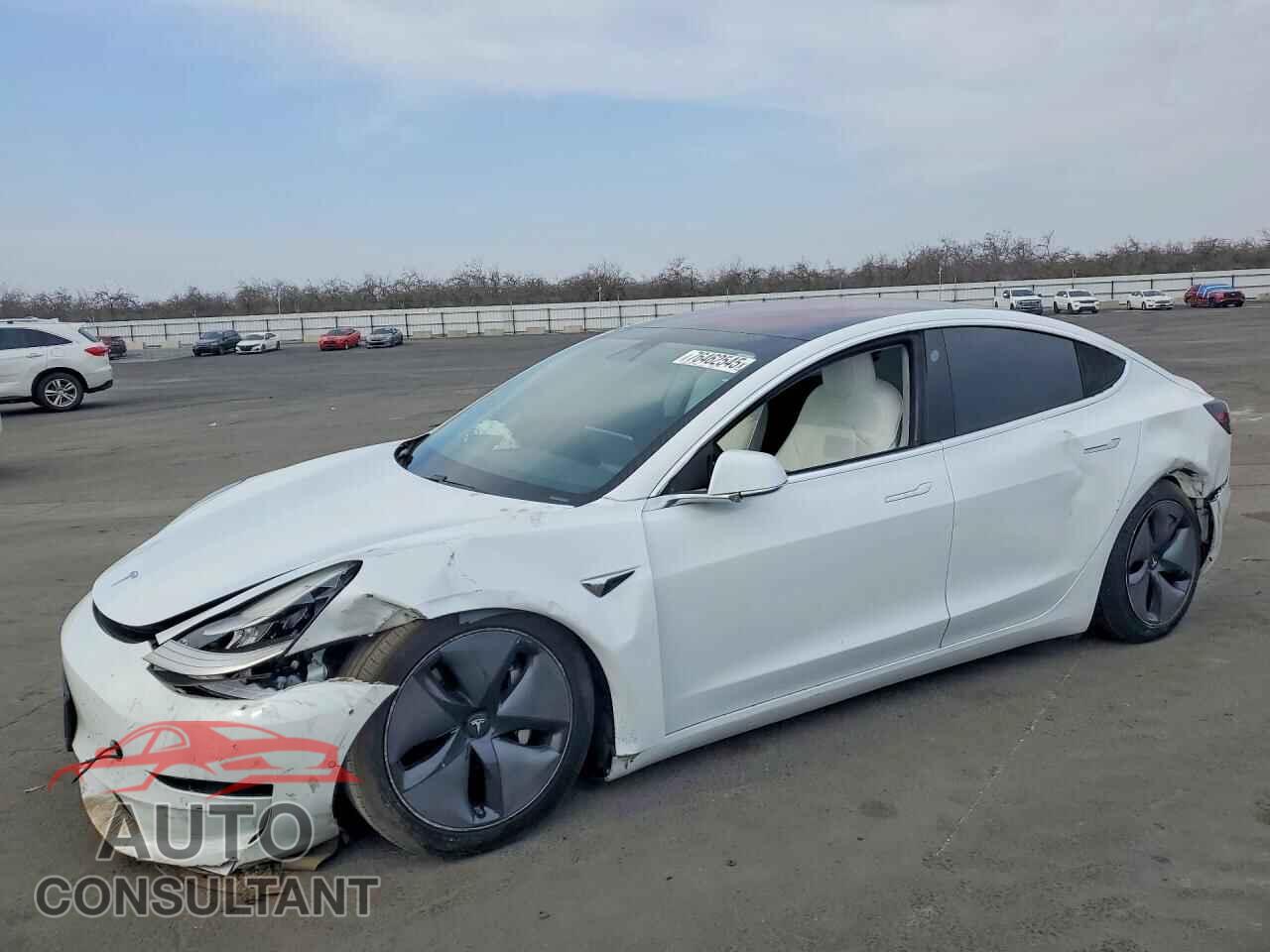 TESLA MODEL 3 2018 - 5YJ3E1EA6JF076881