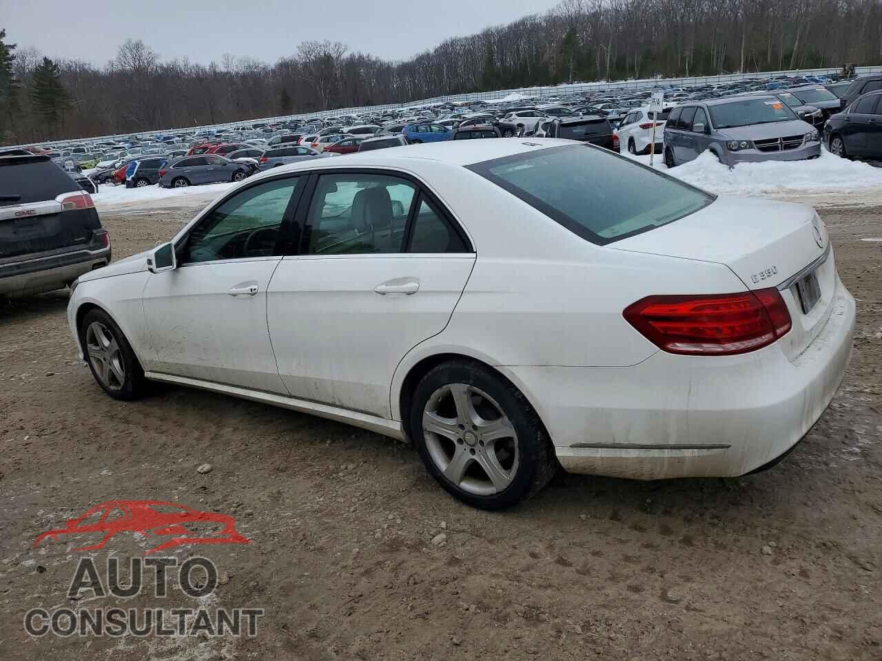 MERCEDES-BENZ E-CLASS 2014 - WDDHF8JB1EA792019