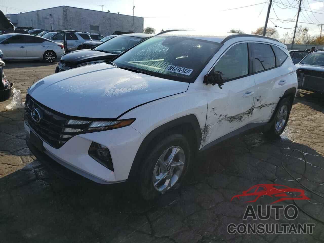 HYUNDAI TUCSON 2024 - 5NMJBCDE3RH385850