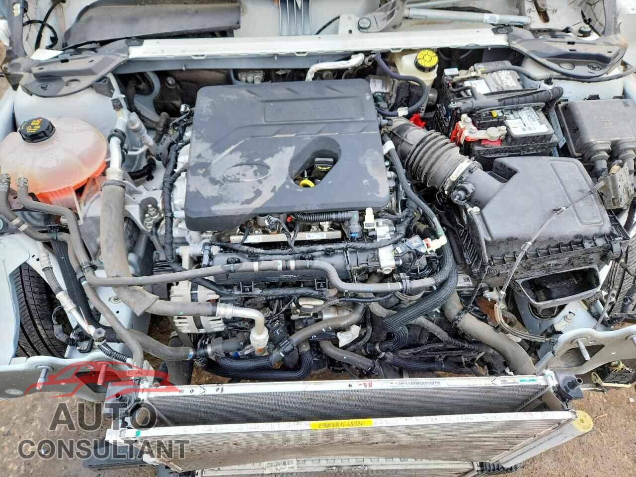 FORD ESCAPE 2020 - 1FMCU0H67LUA32639